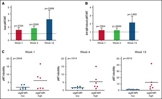 Basal AKT phosphorylation increases during ibrutinib. AKT basal and induced phosphorylation at S473 was analyzed by immunoblotting before and during therapy in a total of 13 patients with CLL. (A-B) Fold change relative to pre-therapy is shown (basal or anti-IgM–induced pAKT/AKT pretherapy values were set to 1). Bars show mean ±SEM. P values were calculated using the Wilcoxon rank test. (C) Association between inducibility of pAKT and sIgM expression is shown. Levels of sIgM were determined before start of ibrutinib therapy. The statistical difference was calculated using the Mann-Whitney U-test.