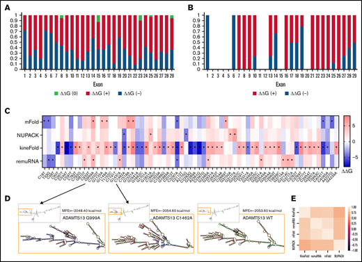 ADAMTS13 sSNVs affect the folding energy and mRNA secondary structure. (A) Stacked column plot that displays the proportions of all sSNVs in each exon that decrease ΔΔG (–, blue), increase ΔΔG (+, red), or do not change ΔΔG (0, white) based on average value obtained from all 4 algorithms (see Methods). (B) Stacked column plot that displays the ratio of significantly different sSNVs (P values < .05) in each exon. (C) Synonymous ADAMTS13 variants with significantly (*) different ΔΔG compared with WT as predicted by at least one algorithm (P < .05). (D) Optimal full-length mRNA secondary structure of ADAMTS13 predicted by RNAFold for variants 999G>A and 1462C>A compared with WT ADAMTS13. (E) Correlation between the ΔΔG values obtained by mFold, remuRNA, KineFold, and NUPAC for all 376 ADAMTS13 sSNVs. Differences considered significant in which P < .05 (see supplemental Methods for description of P value computation and supplemental Excel File 1 for P values).