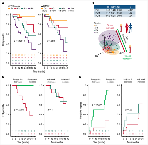 MPN fitness levels inform EFS, and change in MPN fitness risk is linked to EFS and clinical response. (A) EFS stratified by 4 MPN fitness levels (left) and quartiles of WB MAF (right). (B) Cox proportional hazards model associating PC1 to 3, shown in a 3-dimensional space, with risk of events to allow prediction of MPN fitness risk from serial samples. (C) EFS KM stratified by change in MPN fitness risk indicating statistically significant difference (left), and change in WB MAF, indicating no difference (right). (D) Cumulative incidence of partial or complete response stratified by change in MPN fitness risk indicating statistically significant difference (left), and change in WB MAF, indicating no difference (right). CI, confidence interval; HR, hazard ratio.