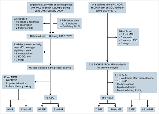 Patient identification.