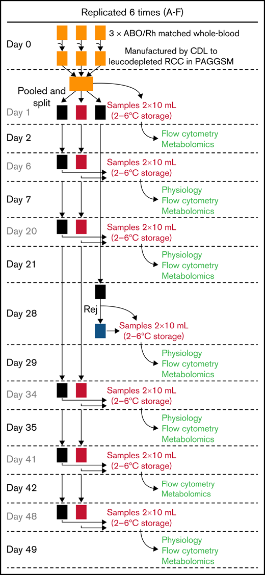 Protocol for storing RBC units. A total of 6 pools of blood were produced, each from 3 donors to reduce variation. Pools were split so that 1 set was stored under standard conditions, 1 under hypoxic conditions, and a third under standard conditions for end-point rejuvenation. Color coding of units is consistent throughout the data figures: standard storage in black, hypoxic storage in red, biochemically rejuvenated units in blue. At the time points indicated, RBC units were sampled for measurements the day after.