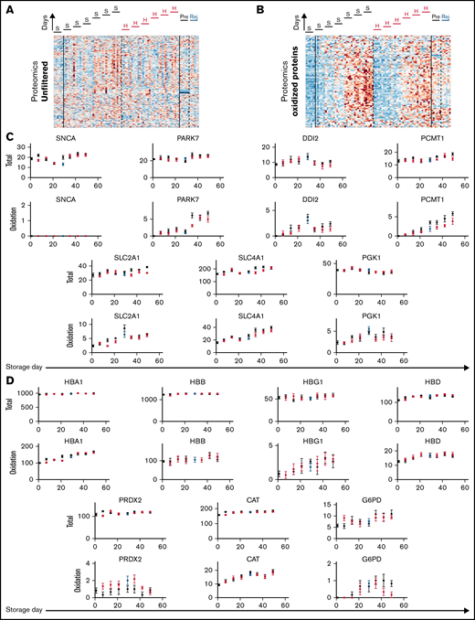 Posttranslational modifications to proteins do not correlate with changes in RBC oxygen-handling function. (A) Proteomic analysis of RBC lysates (under S = standard or H = hypoxia storage, or in Rej = rejuvenated and Pre = its control). Heatmap shows signal filtered for proteins in the oxidized state. (B) Proteins for which oxidation was significantly affected by hypoxic storage. Top row shows total protein signal (unfiltered), and bottom row shows peptides gated for oxidized state. Note that these do not relate directly to oxygen transport. (C) Analysis of proteins directly involved in oxygen transport or shown previously to undergo oxidative damage during standard storage. Hypoxic storage had no effect on this posttranslational modification.