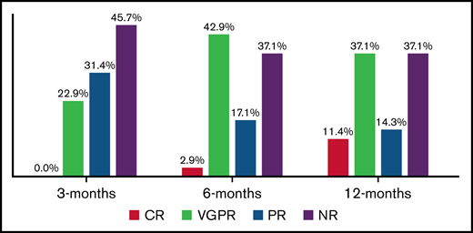 Hematological response rate at 3, 6, and 12 months time points. NR, no response.