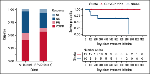 Best response and survival data. (A) Best hematologic response. Among the ITT population (n = 22), 9 patients had VGPR, and 3 had PR. Of the 14 patients treated at RP2D (DL3), the overall hematologic response rate (CR/VGPR/PR) was 64%, with 8 achieving VGPR and 1 PR. (B) OS by best hematologic response. All patients achieving hematologic response (≥PR) are alive, and there was a statically significant difference between the groups (P = .011). DL3, dose level 3; IIT, intention to treat; NE, not evaluable; NR, no response; PR, partial response; VGPR, very good partial response.