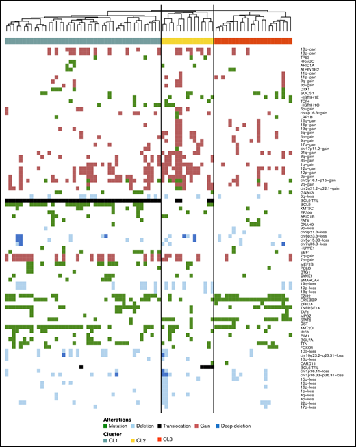 Hierarchic cluster analysis of stage I FL. Features of stage I (n = 81) included in unsupervised hierarchical clustering are somatic mutations present in >5% of the cases, BCL2 and BCL6 translocations, and focal and chromosomal arm–level aberrations present in >5% of the samples with Spearman correlation. Each column represents one patient, CL1 (green, n = 44), CL2 (yellow, n = 15) and CL3 (orange, n = 22). Mutations (green), translocations (black) and CNAs (gains red, losses light blue and multiple losses dark blue) are ordered in the rows.