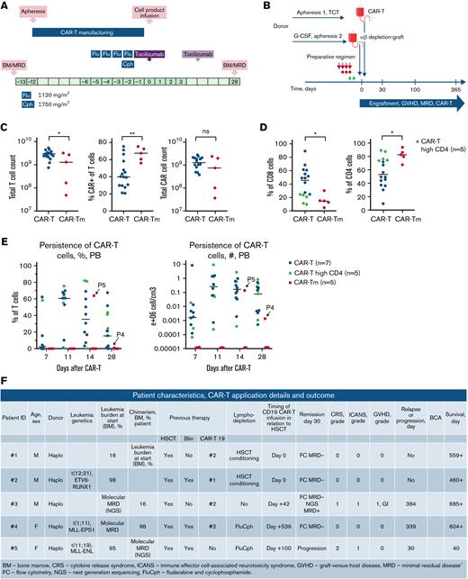 Manufacturing of CD19 CAR T-cell products based on CD4/CD8-selected (CAR-T) or CD45RA-depleted T cells (CAR-Tm). (A) Overall CAR-T manufacturing and lymphodepletion plan. (B) Schema of simultaneous donor-derived CAR-T plus haplo HSCT. (C) Transduction efficacy and numbers of T-cell products after the CAR-T or CAR-Tm (CD45RA-depleted) manufacturing. (D) Analysis of frequency of CD4+ and CD8+ T cells in CAR-Tm and CAR-T products. Dots represent individual patients in panels A, B, and C. Green dots represent CAR-T patients with dominance of CD4+ cells. (E) Peripheral blood CAR-Tm and CAR-T persistence. Green dots represent CAR-T patients with dominance of CD4+ cells. (F) Patient characteristics, CD19 CAR T-cells (CAR-Tm) application, details, and outcome. For panels C and D, statistical analysis was performed using unpaired t tests. For all panels, ∗P < .05, ∗∗P < .01, ∗∗∗P < .005.