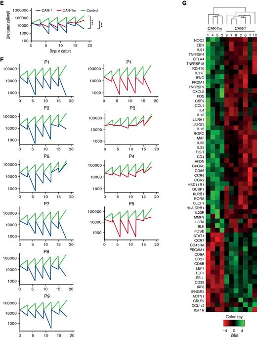 Functional comparison of memory-derived CD19 CAR T cells (CAR-Tm) and CD19 CAR-T. (A) CAR-Tm and CAR-T were coincubated with Jeko-1 at a 3:1 ratio and analyzed by Incucyte (the curves represent number of live Jeko-1 cells in time). Average cytotoxicity of CAR-Tm (n = 4) and CAR T cells (n = 6) (left). Individual measurements of CD19 CAR-T and CD19 CAR-Tm cytotoxicity; CAR-T products were manufactured using T cells isolated from patients #1 and #2 (right). (B) Area under curve (AUC) and cytotoxity from panel A. CD19 CAR-Tm compared with CD19 CAR-T (n = 4 and n = 6, respectively; each dot is the mean value of individual donor). (C) Secretion of interferonγ and tumor necrosis factor-α by CD4+ and CD8+ fractions of CD19 CAT-Tm (n = 2) in comparison with respective subsets of CD19 CAR-T (n = 10). (D) Degranulation of CD19 CAR-Tm (n = 3) and CD19 CAR T (n = 21) cells in CD4+ and CD8+ populations after coincubation with Jeko-1. (E) Sequential killing of Jeko-1 by CD19− CAR T cells (1:5 ratio). Lines represent the mean values for CAR-Tm (n = 4) and CAR-T (n = 6). Control indicates target-cell proliferation in the absence of CAR-T. The number of target cells was analyzed every 3 days. The remaining CAR T cells were mixed with a fresh portion of target cells at the same ratio and incubated for another 3 days. The procedure was repeated several times until day 18. Plots show the number of survived target cells. (F) Sequential killing assay of CD19 CAR T-cells of individual patients from panel E. (G) Transcriptomic analysis of CD19 CAR-Tm (n = 4) and CD19 CAR T (n = 6) cell products. Heatmap represents genes with highest (green) and lowest (red) expression (P < .01, fold change >2). Color key indicates the intensity associated with normalized expression values. Numbers indicate patients. For panels B-D, statistical analysis was performed using paired t tests. For all panels, ∗P < .05, ∗∗P < .01, ∗∗∗P < .005. For panels A and E, statistical analysis was performed using a 2-way analysis of variance with Turkey multiple comparisons test. For all panels, ∗P < .05, ∗∗P < .01, ∗∗∗P < .005.