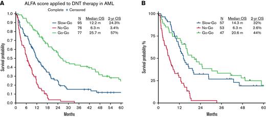 Kaplan-Meier plots (not censored for hematopoietic stem cell transplantation) showing overall survival in the (A) entire cohort and (B) cohort with complete mutation data.