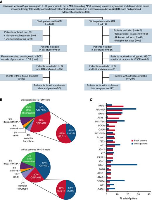 Patient cohort composition and observed cytogenetic and molecular landscapes of Black and White AYA patients with AML. (A) A consort diagram of AYA patients with AML aged 18 to 39 years who were treated on the CALGB/Alliance study protocols. APL, acute promyelocytic leukemia. (B) The frequency distribution of cytogenetic findings in Black compared with that in White patients. (C) Bar graphs showing frequencies of pathogenic variants in known AML-associated genes detected in Black and White patients with AML, sorted by descending frequencies of variants found in Black patients. Depicted are only genes that were found mutated in ≥3% of patients.