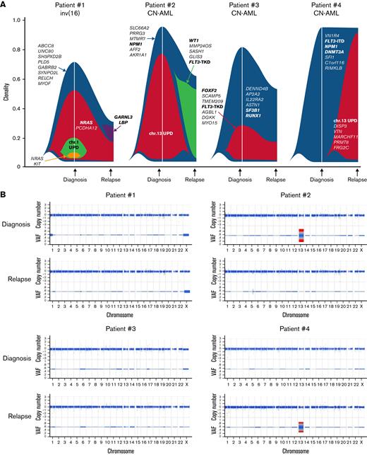 Molecular composition and clonal evolution of select Black AYA patients with AML at the time of AML diagnosis and at relapse. (A) Fish plots depicting clonal changes in pathogenic variants of AML-associated and less well-known genes between diagnosis and relapse, as identified by whole-exome sequencing of samples from 4 Black patients with AML. (B) Copy number changes detected at diagnosis and relapse in the same 4 Black patients with AML.