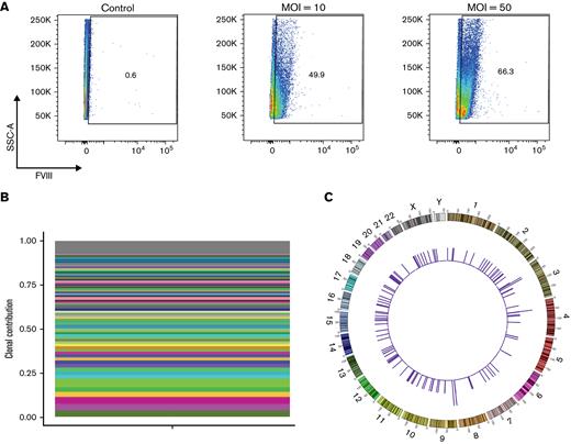 G-GFP-LV transduction induces FVIII expression in human megakaryocytes in vitro and integrates polyclonally. Human CD34+ HSPCs were treated with G-F8-LVs (MOI = 5) and subsequently grown in MEG supplemented media for 14 days. (A) Intracellular FVIII expression was measured by flow cytometry. (B) MGS-PCR was performed on genomic DNA isolated from G-F8-LV transduced human HSPCs G-F8-LVfor RIS analysis. Clones contributing ≥1% of the detected pool are denoted by a colored bar. All remaining identified clones are grouped into the gray bar at the top of the plot. A total of 124 unique integration sites were found, none displaying clonal dominance. (C) Circle plot mapping RIS positions to the human genome (outer numbers indicate chromosome numbers). The heights of the histograms indicate the number of integrations found in a 1 Mbp bin.