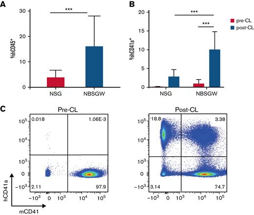 NBSGW mice showed superior human HSPC engraftment compared with NSG mice. A total of 1 × 106 human CD34+ cells isolated from G-CSF mobilized donors were IV-transplanted to 8- to 10-week-old NSG (n = 16) and NBSGW (n = 9) mice. (A) Percentages of human CD45+ cells in total PBMCs were measured by flow cytometry to determine engraftment efficiency at 10 weeks after transplant. (B) Transplanted NSG (n = 6) and NBSGW (n = 9) mice were intraperitoneally injected 3 times with Clodronate liposomes (CL; 100 ul per injection) over a week. Human CD41+ platelet concentrations were evaluated by flow cytometry. The data are presented as means with standard deviation. ∗∗P < .01 and ∗∗∗P < .001. (C) Representative flow panels to show the proportion of human platelets and mouse platelets in NBSGW mice 1 day following CL treatment. Left, before CL treatment; right, after CL treatment.