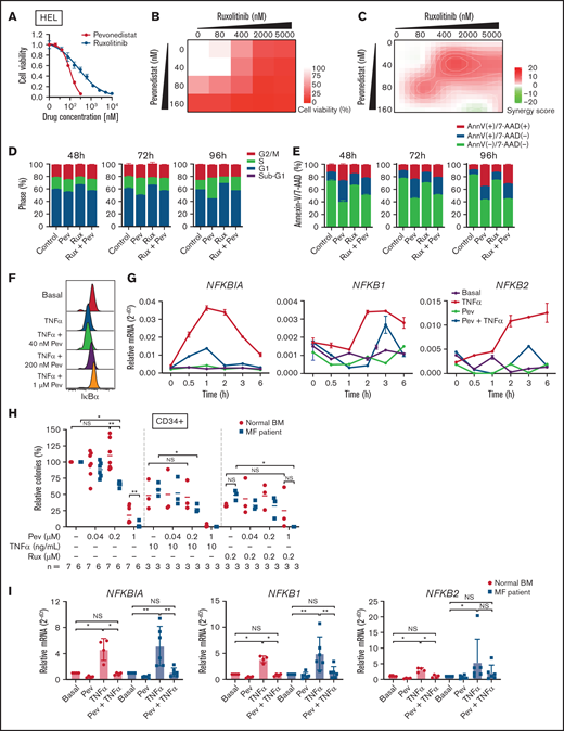 Pevonedistat suppresses TNFα-mediated NFκB signaling in MPNs. (A) Cell viability curve of JAK2 V617F mutant HEL cells treated with increasing concentrations of pevonedistat and ruxolitinib. Cells were treated for 72 hours and viability was normalized to the control treatment. Data points denote mean and standard error of mean at each drug concentration; n = 6 replicates. Cell viability measured with AlamarBlue fluorescence detection. (B) Cell viability assay of HEL cells treated with pevonedistat, ruxolitinib, or in combination. Cells were treated for 72 hours at the indicated drug concentration. Cell viability measured with AlamarBlue fluorescence detection; n = 3 replicates. (C) Synergy score calculations of pevonedistat and ruxolitinib treatment from panel B. Synergy score >10: synergistic; from −10 to 10: additive; <−10: antagonistic. (D) Cell cycle assay of HEL cells treated with DMSO control, pevonedistat (80 nM), pevonedistat (2 µM), or combination, assessed across multiple time points; n = 3 replicates. (E) Annexin V apoptosis assay of HEL cells treated with DMSO control, pevonedistat (80 nM), pevonedistat (2 µM), or combination, assessed across multiple time points; n = 3 replicates. (F) Flow cytometry of IkBα in HEL cells treated with 20 ng/mLTNFα, pevonedistat, or in combination. HEL cells were treated with pevonedistat for 2 hours and TNFα for the last 30 minutes. (G) RT-qPCR of NFκB pathway-related genes in HEL cells treated with TNFα, pevonedistat, or in combination for the indicated durations. Relative NFκB pathway-related mRNA expression was determined by 2^-dCt and normalized to ACTB. Samples were run in duplicate for each experimental condition and timepoint. (H) Colony formation assays of sorted CD34+ cells from normal BM donor and MF patient samples treated with pevonedistat, TNFα, ruxolitinib, or combinations at the indicated concentrations. 1,000 CD34+ cells were plated in MethoCult containing SCF and IL-3 in triplicate per condition. Colonies were counted after 14 days in culture. The number of patient samples (n) per condition is denoted. *P < .05; **P < .01 by Mann-Whitney U test. (I) RT-qPCR of NFκB pathway-related genes in sorted CD34+ cells from normal BM donor (n = 4) and myelofibrosis patient (n = 6) samples treated with 1 µM pevonedistat, 20 ng/mL TNFα, or in combination. CD34+ cells were treated for 4 hours. Relative NFκB pathway-related mRNA expression was determined by 2^-dCt and normalized to ACTB. *P < .05; **P < .01 by Mann-Whitney U test. NS, not significant.