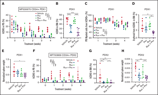 Pevonedistat diminishes CD34+ engraftment and disease propagation in humanized patient-derived xenograft mouse models. (A) Percentage of hCD45+ cells in the PB of NSGS mice engrafted with CD34+ cells from MF530675 and after treatment with pevonedistat (60 mg/kg), ruxolitinib (90 mg/kg), or combination; n = 8 in all groups. ****P < .0001 by 2-way ANOVA with Dunnett’s multiple comparisons test. (B) Percentage of hCD45+ cells in the BM of NSGS mice across multiple weeks of treatment. ****P < .0001 by 1-way ANOVA with Dunnett’s multiple comparisons test. (C) Percentage of myeloid cells from hCD45+ cells. **P < .01; ***P < .001; ****P < .0001 by 2-way ANOVA with Dunnett’s multiple comparisons test. (D) Percentage of erythroid cells from hCD45-cells in the BM. **P < .01 by 1-way ANOVA with Dunnett’s multiple comparisons test. (E) Normalized spleen weight at endpoint. *P < .05 by 1-way ANOVA with Dunnett’s multiple comparisons test. (F) Percentage of hCD45+cells in the PB of NSGS mice engrafted with CD34+ cells from a second patient MF700869 and after treatment with pevonedistat (60 mg/kg), ruxolitinib (90 mg/kg), or combination; n = 6 (vehicle and ruxolitinib) and 7 (pevonedistat and combination). **P < .01; ***P < .001; ****P < .0001 by 2-way ANOVA with Dunnett’s multiple comparisons test. (G) Percentage of hCD45+ cells in the BM of NSGS mice across multiple weeks of treatment. **P < .01 by 1-way ANOVA with Dunnett’s multiple comparisons test. (H) Normalized spleen weight at endpoint. **P < .01; ***P < .001 by 1-way ANOVA with Dunnett’s multiple comparisons test.