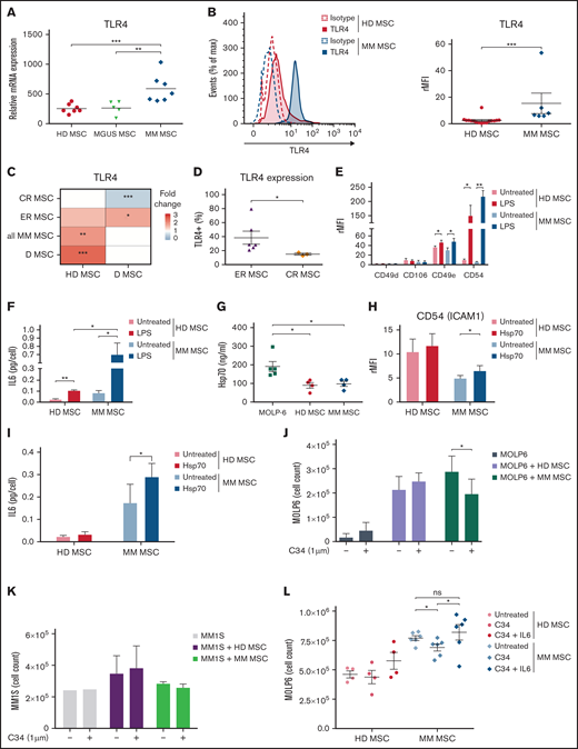 Disease-stage-dependent overexpression of TLR4 on MM MSCs modulated pro-MM factors implicated in crosstalk with MM cells. Fresh BM aspirates from HD MSCs and MM MSCs were analyzed at the stage of monoclonal gammopathy of undetermined significance (MGUS MSC), diagnosis (D MSC), complete remission (CR MSC), or early relapse (ER MSC) in the Institut Universitaire du Cancer de Toulouse-Oncopole (Toulouse). (A) TLR4 mRNA expression in BM MSCs from HD (n = 7), MGUS (n = 5), and MM (n = 7). Data are from U133+ 2.0 microarrays and previously described.8 Each point represents 1 sample; the horizontal bar is the mean. (B) Representative flow cytometry and graph showing the expression of isotype (dotted line) or TLR4 (solid line) in HD (Red) (n = 16) and MM (Blue) (n = 6) MSCs after primoculture (P1). Data are mean±SEM presented as rMFI = ratio of mean fluorescence intensity (MFI) of staining/MFI isotype control. Each point represents 1 sample. (C) Heatmap showing the fold change (pseudocolor scale with red for upregulation and blue for downregulation) of TLR4 expression in MSCs isolated from patients in CR, ER, D, or total MM MSCs (left) in comparison with MSCs isolated from D and HD MSCs, respectively (bottom). (D) Percentage of cells expressing TLR4 from ER (n = 6) and CR (n = 3) MM MSCs after primoculture (P1). Data are mean±SEM. Each point represents 1 sample. (E) CD49d, CD49e, CD54, and CD106 expression in HD (Red) and MM MSCs (Blue) after 1-hour stimulation with 1 µg/mL lipopolysaccharide (LPS) or not (untreated), a wash, and 2-day culture at 37°C 5% CO2. Data are mean±SEM of rMFI from 5 independent experiments. (F) IL-6 secretion by HD (Red, n = 3) and MM (Blue, n = 3) MSCs after 1-hour stimulation with 1 µg/mL LPS or not (untreated), a wash, and 2-day culture at 37°C 5% CO2. Data were analyzed by ELISA with a Varioskan scanning reader and represented as mean±SEM. (G) Heat shock protein 70 (Hsp-70) secretion by MM cell line (Green, MOLP-6), HD (Red), and MM MSCs (Blue) in normal culture condition. Data were analyzed by ELISA and represented as mean±SEM from 5 independent experiments. (H,I) CD54 expression (H) and IL-6 secretion (I) by HD and MM MSCs after 48-hour stimulation with human recombinant Hsp70 (1 µg/mL) or not (untreated) at 37°C 5% CO2. Data are mean±SEM of CD54 rMFI or IL-6 (pg/cell) secretion from 10 independent experiments. (J,K) Stroma-dependent (MOLP-6) (J) or stroma-independent MM cells (MM1S) (K) cell count after 7 days of coculture with HD or MM MSCs or without coculture. MSCs or MM cells (control) were untreated or treated with 1 µM TLR4 antagonist (C34). The number of MM cells was evaluated after staining with trypan blue and evaluated in a Malassez counting chamber on day 7. Data are mean±SEM from 3 independent experiments. (L) Stroma-dependent (MOLP-6) cell count after 7 days of coculture with C34 treated or not treated (untreated) HD or MM MSC, in presence or absence of human recombinant IL-6. Data are mean±SEM from 6 independent experiments. Statistical differences between 2 groups were determined by Mann-Whitney test (A,B,C,D), paired (E,F,H,I,J,K,L), or unpaired (F, G) t test. *P < .05, **P < .01, ***P < .001. ns, not significant. For the Figure 1F, paired t test is used to compare the HD or MM MSC untreated or treated with LPS, and unpaired t test is used for comparison between HD MSC and MM MSC.
