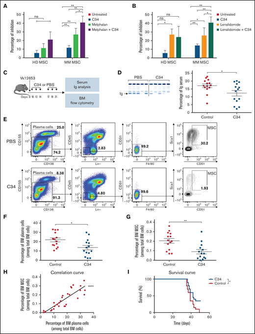TLR4 inhibition potentiated anti-MM drug effect in MOLP-6-MSC coculture and decreased Vk*MYC mouse development. (A,B) Percentage of MOLP-6 cell inhibition after 7 days of coculture with HD or MM MSCs or without coculture. MSCs were untreated or treated with 1 µM C34, then MOLP-6 cells (5.104) were added to each flask with 5 mL complete RPMI medium with or without 100 nM melphalan (A) or lenalidomide (B). For both cocultures, after 72 hours, 2 mL complete RPMI medium ± 1 µM C34 ± 100 nM melphalan or lenalidomide was added, respectively. Data are mean±SEM of percent inhibition calculated as 1-(number cocultured MOLP-6 ± melphalan or lenalidomide ± C34 at day 7/number untreated cocultured MOLP-6 at day 7) from 5 independent experiments. (C-I) C57Bl/6 WT mice were injected with Vk12653 myeloma cell line (2 × 106 cells, iv). Ten days later, they were treated with 1 mg/kg C34 (C34 group, n = 14) or phosphate-buffered saline (PBS group, n = 14), twice a week for 2 weeks. Then, blood samples were collected and serum was harvested for protein electrophoresis. After treatment, the femur was harvested and flushed to extract BM. As a control, C34 effect on BM from WT mice is shown in supplemental Figure S2. Erythrocytes were lysed, and BM was stained with mouse antibodies as described in supplemental Table 1. (C) Schematic representation of the experimental design. (D) Representative electrophoresis and graph showing the presence of monoclonal Ig in the blood of PBS (Red) and C34 (Blue) groups after 2-week treatment. According to the manufacturer, serum proteins are separated into 6 major fractions (albumin, α-1, α-2, β-1, β-2, γ), and we detected and quantified monoclonal components for the diagnosis. Data are mean±SEM. Each point represents 1 sample. (E) Representative FACS plots showing the gating strategy to isolate MSCs. Viable cells were separated into 2 groups: plasma cells gated with double-positive CD155+/CD138+ cells and microenvironment CD155-cells. In this microenvironment, Lin-(B220, CD3e, Ter119, Gr1, CD11b), CD45.2-, CD31-, F4/80- allows for selecting MSCs with double-positive CD51+/Sca1+ cells. (F-H) Percentage of BM plasma cells (F) and BM MSCs (G) in C34-treated (Blue) or control (Red) groups among total BM cells. Data are mean±SEM from 3 independent experiments with n = 14 mice. (H) Correlation between BM plasma cell and BM MSC percentages. Each point represents 1 mouse. Pearson correlation coefficient, r = 0.7335. (I) Survival curve of Vk*MYC mice either untreated (PBS as control, Red) or treated by 10 mg/kg C34 (C34, Blue). Statistical differences between the 2 groups were determined with paired t test (A,B), Mann-Whitney test (C-G), and Gehan-Breslow-Wilcoxon test (I). *P < .05, **P < .01, ***P < .0001. ns, not significant.