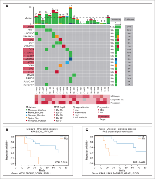Mutation profile of the MRD cohort. (A) Recurrently mutated genes and functionally important hits. Patients are depicted as columns; genes are depicted as rows. Previously identified MM associated genes (supplemental Table 3) are highlighted in red rectangles; star symbols indicate potentially actionable targets. Total number of single nucleotide variants (SNVs) in particular patients is given on the top. Driver frequencies from other studies were obtained from 5 papers.3–7 (B-C) Kaplan-Meier curves showing association of PFS with RAS-related pathways. Pathways KRAS.600_UP.V1_UP included synthetic lethal partners of oncogenic KRAS. Ras protein signal transduction pathway is a series of molecular signals within the cell that are mediated by a member of the Ras superfamily of proteins switching to a GTP-bound active state. List of genes included in respective pathways is provided below each graph. FDR, false discovery rate; mut, mutated; wt, wild type.