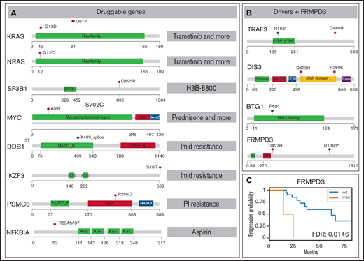 SNV overview of important MM MRD genes. Functional domains are shown for each gene; mutated positions are represented by colored lollipop marks (red, single nucleotide change; blue, splice site/nonsense mutation). (A) Mutations in genes potentially useful in clinics are suggested for preclinical studies. Interacting drugs are given on the right. (B) Genes identified as drivers without assigned treatment and gene FRMPD3 are schematically shown. (C) Kaplan-Meier curve showing gene FRMPD3 that is the only shared gene with significant PFS association. PI, proteasome inhibitor.