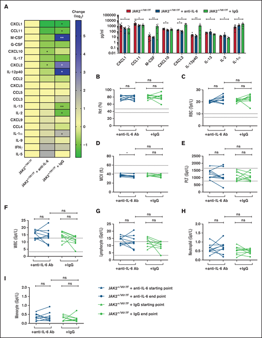 Analysis of serum cytokine levels and blood parameters upon anti–IL-6 Ab treatment. JAK2+/V617F mice were treated 3 times per week over 3 weeks with 200 μg of anti-IL6 Ab per injection (MP5-20F3; BioXcell; n = 5) and IgG control (HRPN; BioXcell; n = 7). (A) The cytokine levels in serum of treated and untreated (n = 10) mice were measured by Eve Technologies Corporation (Mouse Cytokine Array/Chemokine Array 31-Plex). Cytokine level changes are shown as a heatmap according to the JAK2+/V617F level (left) and were sorted by reduction of cytokine level by anti–IL-6 Ab treatment. Additionally, cytokines with distinct changes are shown as a scatter blot (right). (B-I) Retrobulbarly collected peripheral blood of treated and untreated mice was analyzed using the ADVIA 2120i Hematology System. Samples indicating Hct (B), RBC count (C), mean corpuscular volume (MCV) (D), platelets (PLT) (E), WBC count (F), lymphocyte (G), neutrophil granulocyte (H), and monocyte counts (I) are depicted at start and end point of anti–IL-6 Ab (n = 9) and IgG (n = 9) treatment of JAK2+/V617F mice. *P < .05, **P < .01, nonsignificant (ns) P > .05 (by nonparametric, 2-tailed Mann-Whitney test). IFN, interferon; G-CSF, granulocyte colony-stimulating factor; M-CSF, macrophage colony-stimulating factor.