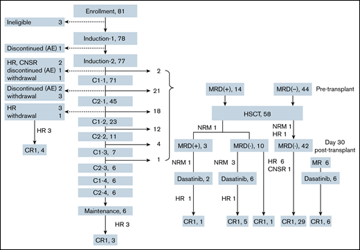 Patient flow and conditions. AE, adverse event; CNSR, central nervous system relapse; HR, hematological relapse; MR, molecular relapse.