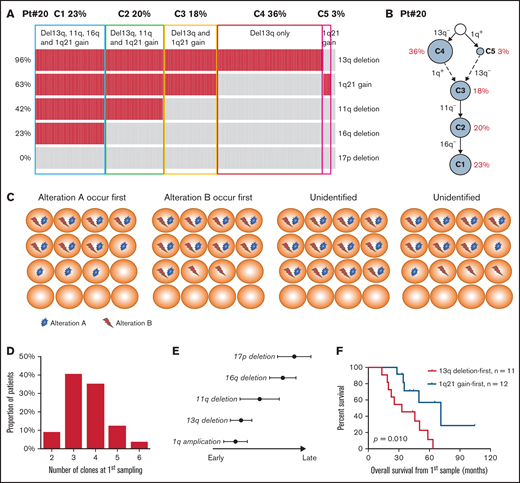 (A) The heatmap showing the cytogenetic pattern of patient #20. Each row represents a specific kind of cytogenetic abnormality while each column represents 1 cell. In total, 5 cytogenetic abnormalities were examined in 200 plasma cells. Cells are clustered into 5 subgroups. (B) Plausible clonal phylogeny tree for patients in (A) (C) Diagrams of identifying the historical timing and sequence of critical cytogenetic events by QM-FISH. (D) Number of cytogenetic clones at first time-point sampling. (E) Timeline of different cytogenetic events in MM. Timing on the x-axis is from early to late. (F) Kaplan-Meier curves of overall survival for patients with different sequences of 13q deletion and 1q21 gain occurrence.