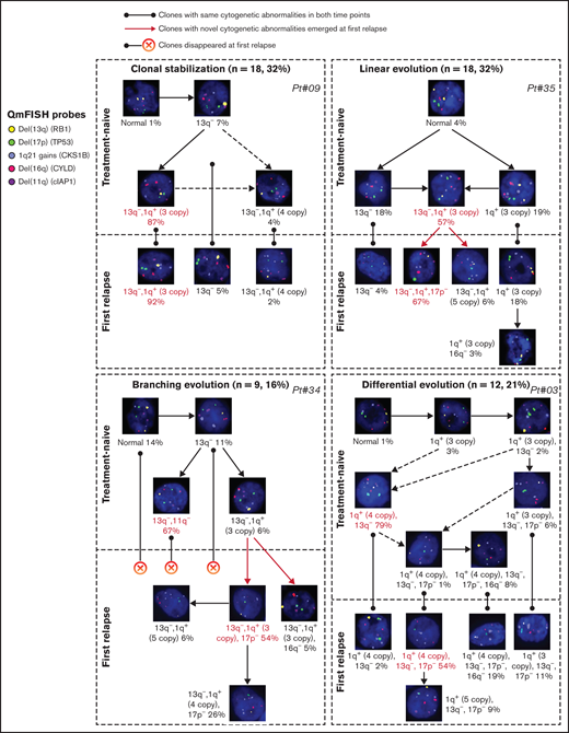 Examples of 4 evolutionary patterns identified by QM-FISH. The major clone in each sampling time point was marked as red.