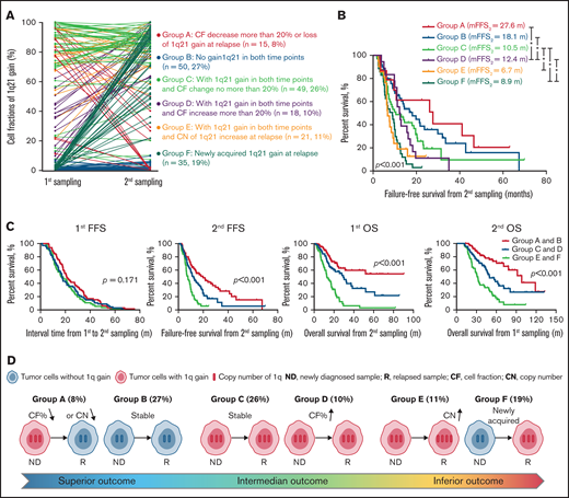 Clonal evolution in patients with gain/amplification of 1q21. (A) The change in cell fraction and copy number of 1q21 gain between the 2 time-point samplings. Different color demonstrates 6 different changing patterns. (B) Failure-free survival from second sampling among patients with different 1q21 evolutionary patterns. (C) Six 1q21 evolutionary patterns are merged to 3 groups according to the survival curves. Kaplan-Meier plots for first FFS, second FFS, first OS, and second OS are presented in patients with different groups. m, months. (D) Diagram of different kinds of evolution in copy number or clone size of 1q21 gain during follow-up.