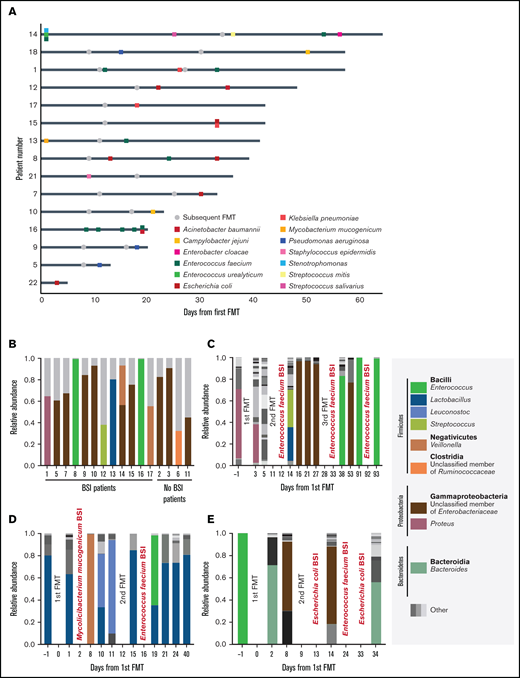 BSIs and gut bacterial composition in fecal microbiota transplant recipients. (A) Swimmer plot describing BSI events relative to FMT. Each row represents 1 patient who experienced at least 1 BSI event after FMT treatment. Day 0 is the day of the first FMT; gray dots represent subsequent FMT courses. Squares represent positive blood cultures that are color coded by species. (B) Compositional plot of dominating bacterial taxa (by 16S ribosomal RNA gene analysis) before and after FMT and BSI. Monodominating taxa are coded by color. Taxa with <30% relative abundance are summarized as other and colored gray. (C-E) Temporal dynamics of the gut microbiota (at the genus level) during FMT sessions. BSI type and timing appear in red. Patients 1 (C), 13 (D), and 8 (E). Monodominating taxa are coded by color. Taxa with a relative abundance of <30% are summarized as other.