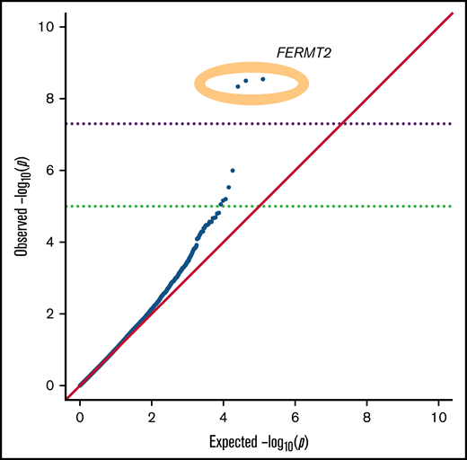QQ plot of the P values for common SNPs. Three SNPs in FERMT2 achieved genome-wide significance (yellow oval).