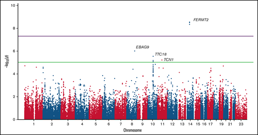 Manhattan plot of the P values for common SNPs. Three SNPs in FERMT2 achieved genome-wide significance (purple line), whereas SNPs in EBAG9, TTC18, and TCN1 achieved exome-wide significance (green line).