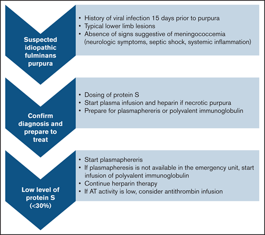 Proposed algorithm for diagnostic and treatment of idiopathic fulminans purpura.