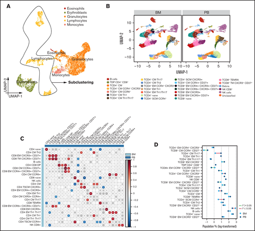 T-cell distribution in paired BM and PB samples. (A) UMAP of eosinophils, erythroblasts, granulocytes, lymphocytes, and monocytes. (B) UMAP of 25 lymphocyte subsets identified in BM and PB samples from patients with SMM (n = 10). (C) Correlation map comparing the frequency of each lymphocyte subset in BM to the subsets in PB. Size and color of circles are proportional to the correlation coefficients, and the number of asterisks represents significance. *< .05; **< .01; ***< .001. (D) Dumbbell plot reporting lymphocyte subset distribution between BM and PB (statistically significant differences are identified by red lines).