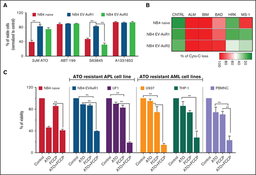 Mitocans synergize with ATO to promote apoptosis in the ATO-resistant cell lines. (A) Viability of NB4 and in-house–generated ATO-resistant cell lines to BH3 mimetics (n = 5). (B) Intracellular BH3 profiling of ATO-resistant and sensitive cells (n = 3) measured using intracellular cytochrome-c (Cyto-C) retention. (C) Viability of the sensitive and resistant APL and non-APL cell lines treated for 48 hours with OXPHOS uncoupler FCCP combined with ATO (ATO, 2 µM; FCCP, 10 µM; BH3 mimetics, 250 nM). All error bars represent the mean ± SEM of 4 independent experiments. *P ≤ .05; **P ≤ .01; ***P ≤ .001; ***P ≤ .0001. A1331852, BCL-XL inhibitor; ABT-199, venetoclax; CNTRL, control; S63845, MCL-1 inhibitor.