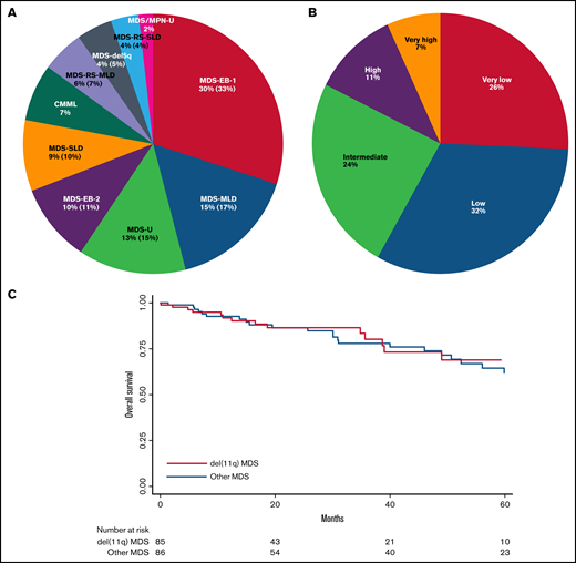 WHO 2016, IPSS-R classifications and overall survival of del(11q) MDS. (A) WHO 2016 classification of del(11q) MDS and MDS/MPN. (B) IPSS-R applied to the primary del(11q) MDS by risk category: very low = risk score ≤1.5; low = risk score >1.5-3; intermediate = risk score >3-4.5; high = risk score >4.5-6; very high = risk score >6. (C) Overall survival of del(11q) MDS compared with other MDS.