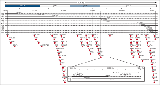 CDR of del(11q) MDS defined by high resolution microarray analysis. Detailed map of the chromosome 11 summarizing microarray data. Chromosomal bands are indicated at the top with the genomic location indicated below according to hg19 assembly human genome. Continuous line: presence of the 2 alleles; dashed line: deletion of 1 of the 2 alleles. Genes located in the region are indicated by black dots. The common deleted region was indicated by vertical lines with a magnification of it at the bottom, indicating location of exons of NXPE2 and CADM1, their orientation, and the 3 samples defining the del(11q) MDS CDR.