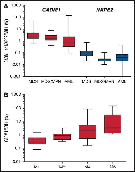 Expression of CADM1 and NXPE2 in myeloid cells. (A) Expression of CADM1 and NXPE2 in 21 MDS, 10 chronic myelo-monocytic leukemias, and 55 AML samples presented as a box with whiskers. The box extends from the 25th to the 75th percentiles of expression. The line in the middle of the box was the median. The whiskers indicate the 10th and the 90th percentiles. (B) Expression of CADM1 in AML according to their FAB classification.