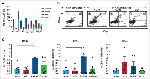 Functional characterization of TAA-T products. (A) Tumor antigen specificity as measured by IFNγ ELISPOT assay of the 12 infused products after overnight restimulation with overlapping 15mer pepmixes of actin (irrelevant control antigen), WT1, PRAME, and Survivin. (B) Polyfunctionality as assessed by the release of IFNγ and TNFα by CD3+, CD4+, and CD8+ TAA-Ts in response to irrelevant antigen. Actin and TAA (PRAME) shown in a representative dot plot of TAA-T product and summarized for 6 TAA-T products (C). * and ** denote P < .01 for difference between actin and PRAME.