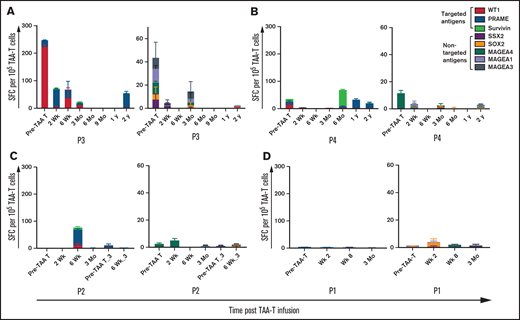 Recognition of tumor specific antigens over time. Recovery of antigen-specific T cells and antigen spreading as detected by IFNγ ELISPOT assay in patients receiving TAA-T alone in responders (A-B) and nonresponders (C-D). For each figure, reactivity to the targeted antigens WT1, PRAME, and Survivin is shown in panel i and nontargeted antigens MAGE family, SSX2, and SOX2 is in panel ii.
