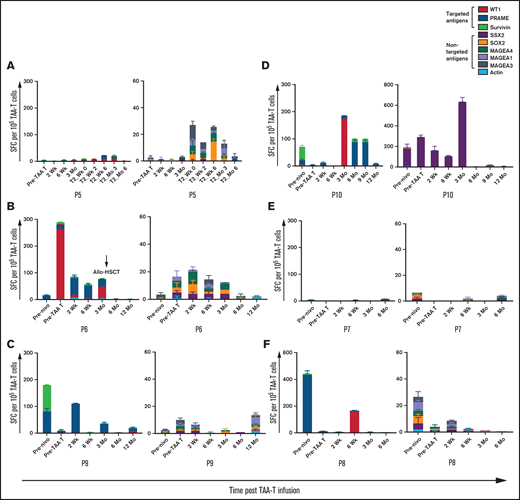 Recognition of tumor specific antigens over time. Recovery of antigen-specific T cells and antigen spreading as detected by IFNγ ELISPOT assay in patients receiving TAA-T and nivolumab in responders (A-D) and nonresponders (E-F). For each figure, reactivity to the targeted antigens WT1, PRAME, and Survivin is shown in panel i and nontargeted antigens MAGE family, SSX2, and SOX2 in panel ii.