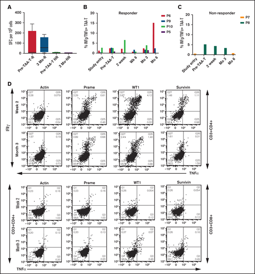 Impact of nivolumab on persistence of functional TAA-T cells. (A) Comparison of T-cell reactivity to the targeted antigens as detected by IFNγ ELISPOT assay after nivolumab priming and before TAA-T infusion and at 3 months between responding (R) and nonresponding patients (NR). (B) Persistence of polyfunctional TAA-T cells over time in responders. (C) Persistence of polyfunctional TAA-T cells over time in nonresponders. (D) Representative plot of patient demonstrating recovery of in vivo polyfunctional CD4+ and CD8+ TAA-T cells secreting both IFNγ and TNFα was detected after brief ex vivo expansion after restimulation with antigens at several follow-up time points.