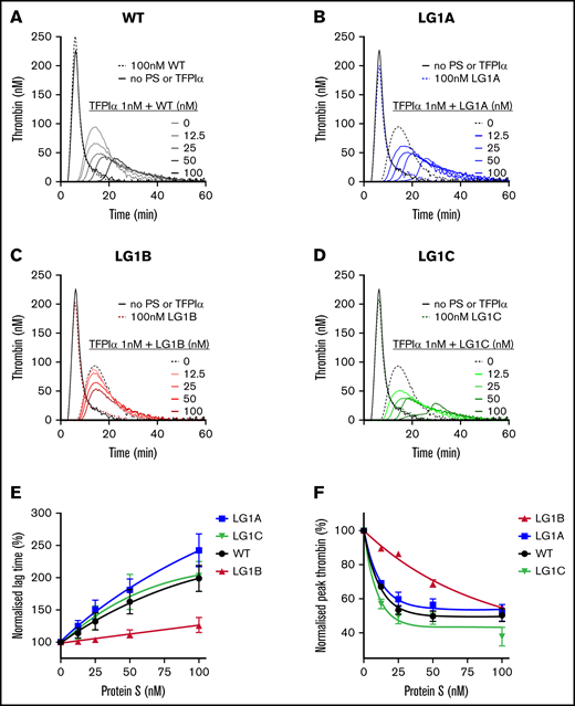 Enhancement of the TFPIα-mediated inhibition of thrombin generation by WT protein S and alanine composite variants. Thrombin generation was measured in protein S-depleted plasma supplemented with 50 µM phospholipids and 1 pM TF in the presence and absence of 1 nM TFPIα, and in the presence and absence of titrated (0-100 nM) WT protein S (A), protein S LG1A (B), LG1B (C), and LG1C (D). Representative experiments are shown (n = 3-4). (E-F) Normalized lag time (E) or peak thrombin (F) were plotted against protein S concentration. The lag time and peak height in the presence of TFPIα alone represent 100%. Results are expressed as mean ± SD (n = 3-4). PS, protein S.
