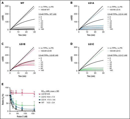 Enhancement of TFPIα in the inhibition of FXa by WT protein S and protein S alanine composite variants. FXa activity (0.5 nM) was followed in real-time through cleavage of S-2765 (200 µM) at 405 mm in the presence of 25 μM phospholipids, presence or absence of TFPIα (2.5 nM), and increasing concentrations (0-160 nM) of WT protein S (A), LG1A (B), LG1B (C), or LG1C (D). Results from representative experiments are shown (n = 3-4). (E) The initial velocity (V0) was calculated for each curve and plotted against protein S concentration. Results are given as mean ± SD and are expressed as a percentage of the V0 for TFPIα alone (n = 3-4). The EC50 values of TFPIα enhancement by WT protein S and its variants were derived and are presented as part of the figure. N.M., not measurable; PS, protein S.