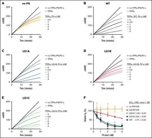 Enhancement of TFPIα in the inhibition of FXa by increasing concentrations of FV-short in the presence or absence of WT protein S and protein S alanine composite variants. FXa activity (0.5 nM) was followed in real-time through cleavage of S-2765 (200 µM) at 405 mm in the presence of 25 μM phospholipids, TFPIα (0.5 nM) and the absence (A) or presence of 5 nM of WT protein S (B), LG1A (C), LG1B (D), or LG1C (E) at increasing concentrations of (F) FV-short (0-4 nM). Results from representative experiments are shown (n = 3). (E) The initial velocity (V0) was calculated for each curve and plotted against FV-short concentration. Results are given as mean ± SD and are expressed as percentage of the V0 for TFPIα either alone or together with WT protein S or its variants (n = 3). The EC50 values of TFPIα enhancement by FV-short and WT protein S and its variants were derived and are presented as part of the figure. FV-s, FV-short; N.M., not measurable; PS, protein S.