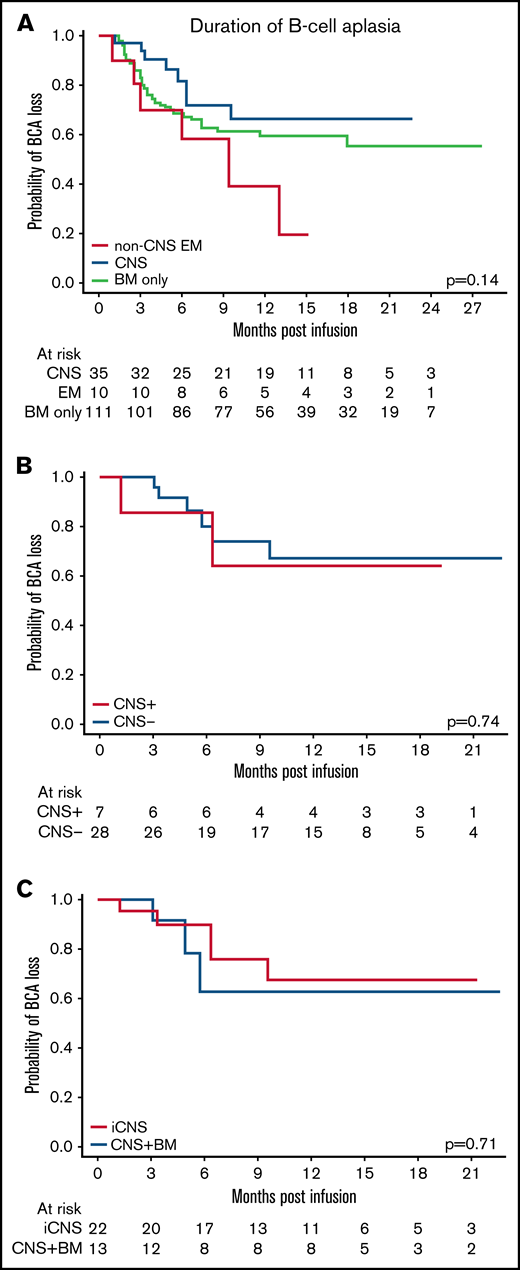 EM disease did not affect the loss of BCA. (A) The probability of BCA loss of patients with CNS3 disease, non-CNS EM disease, and BM-only disease (P = .14). (B) The probability of BCA loss of patients with active CNS disease (CNS+) at time of infusion compared with those with CNS disease that cleared (CNS–) before infusion (P = .74). (C) The probability of BCA loss of patients with isolated CNS disease (iCNS) compared with those with combined CNS and BM disease (CNS + BM) (P = .71).
