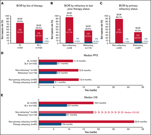 Subgroup analyses. IRC-assessed BOR (A-C), IRC-assessed PFS (D), OS (E). *Refractory to last prior treatment. BOR, best objective response; CR, complete response; NE, not evaluable; OS, overall survival; PFS, progression-free survival; PR, partial response; 2L, patients had received one prior line of therapy before treatment with Pola + BR; 3L+ patients had received two or more prior lines of therapy before treatment with Pola + BR.