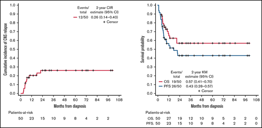 Cumulative incidence of CNS relapse/progression, PFS, and OS in patients with DLBCL and HGBCL with known CNS involvement.