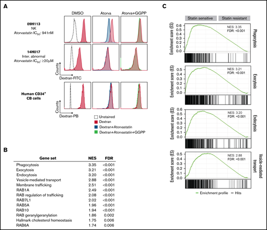 Vesicular trafficking is a key determinant of statin sensitivity in AML. (A) Impact of atorvastatin treatment on endocytosis as assessed by uptake of dextran–fluorescein isothiocyanate (FITC) or dextran–Pacific blue (PB) determined by flow cytometry in primary human AML specimens and CD34+ cord blood (CB) cells. Results for statin-sensitive specimen 09H113 are representative of 12 primary human AML specimens (supplemental Figure 5). Results for CD34+ CB cells are representative of 2 independent experiments performed with CD34+ cells isolated from 2 different CB units. Specimen 14H017 was the only statin-resistant specimen among samples tested as part of this study. (B) Enrichment scores of gene sets related to vesicular transport in top 25% statin-sensitive vs -resistant primary human AML specimens of the Leucegene cohort (n = 204). Gene set enrichment analysis (GSEA) was performed with GSEA 4.1.0 software from the Broad Institute using a list of differentially expressed genes between sensitive and resistant specimens ordered based on fold change of expression. (C) Enrichment profiles of top 4 enriched gene sets related to vesicular transport in statin-sensitive compared with statin-resistant specimens. FDR, false discovery rate; GGPP, geranylgeranyl pyrophosphate; IC50, 50% inhibitory concentration; NES, normalized enrichment score; NK, natural killer.