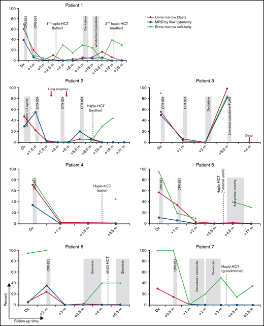 BM findings in individual patients during therapy. Dx, diagnosis; Haplo, haploidentical donor; m, months; MUD, matched unrelated donor; MRD, minimal residual disease.