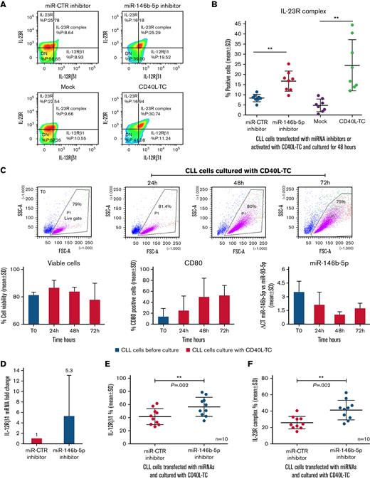 Downregulation of miR-146b-5p expression by CLL cells cocultured with CD40L-TC. (A) Comparison of IL-23R complex expression by cells from a representative CLL case (GE1-AG114) transfected with the indicated miR inhibitors or cocultured with CD40L-TC or mock control cells for 48 hours and analyzed by flow cytometry. (B) Summary of data on IL-23R complex expression (determined by flow cytometry) after a 48-hour exposure of purified CLL cells to miR-146b-5p inhibitor or CD40L-TC as in (A). CLL cells were from cases GE1-AG114, GE1-DM210, GC0015, SV1-SA, SR1-ME1077, MG0482, VF0384, and CM18. P values of the difference between CLL cells treated with miR-146b-5p vs miR CTR inhibitors or exposed to CD40L-TC vs mock cells are indicated (Wilcoxon test). ∗∗P = .0078. (C) Time course experiments to determine cell viability, cell activation, and miR-146b-5p expression following coculture with CD40L-TC. The top panels show CLL cells morphology based on their side scatter-A and forward scatter-A features before (T0) and after CD40L engagement in the representative CLL case GE1-CC190. The gate (live gate) indicates viable cells. Lower panels summarize data of the experiments in 3 different CLL cases (GE1-GA191, GE1-CC190, and SR1-ME1077). Cell viability was measured by flow cytometry by excluding annexin-V/PI-positive cells (left panel). Expression of the CD80 activation marker by purified CLL cells was evaluated by flow cytometry and is indicated as the percentage of positive cells in the viable cell gate (middle panel). The lower right panel shows miRNA expression by RT-qPCR. Data are expressed as ΔCT of miR-146b-5p vs miR-93. Data are plotted as mean ± SD. (D) RT-qPCR analysis of miR-146b 5p (CLL cases PF0024, HG0135, SR0112, CA0058, RD0468, and LG0337) and IL-12Rβ1 mRNA (CLL cases PF0024, HG0135, CA0058, RD0468, MA0151, and AR0090) expression by CLL cells transfected with miR-146b-5p inhibitors and subsequently cultured with CD40L-TC for 48 hours. miR-146b-5p expression was calculated as fold change compared with values observed in CLL cells transfected with miR-CTR inhibitors normalized to RNU44 and U6 small nuclear RNA(left panel). IL-12Rβ1 mRNA expression was calculated as fold change using CLL cells transfected with miR CTR inhibitor cells as calibrator normalized vs POL2RA gene mRNA (right panel). Data are plotted as mean ± SD. (E) IL-12Rβ1 chain expression by CLL cells from cases PF0024, HG0135, SR0112, CA0058, DF0319, RD0468, MA0151, AR0090, PD0164, and SR1-ME1077 transfected with the indicated miR inhibitors and cultured for 72 hours in the presence of CD40L-TC. Cells were analyzed by flow cytometry, and data are expressed as a percentage of positive cells. (F) IL-23R complex expression by CLL cells of the same cases analyzed in (E). Data are expressed as a percentage of positive cells (mean ± SD). P values of the difference between stimulated CLL cells and control samples are indicated (Wilcoxon test). ∗P < .05. (G) Flow cytometric analysis of IL-21 receptor expression by CLL cells treated as in (E) in a representative case DF0319. (H) Comparison of IL-23R complex or IL-21R expression by CLL cells from 5 cases (HG0135, SR0112, DF0319, RD0468, and PD0164) treated with the indicated miR inhibitors and cultured with CD40L-TC cells. Data are expressed as a percentage of positive cells (mean ± SD).