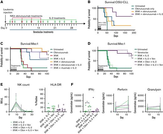 In vivo efficacy of XNK cells in CLL xenograft models. (A) Mice were injected IV with 5 × 106 live OSU-CLL or Mec1 cells. 1 × 107 live ND-XNK cells (IV) ± 250 μg obinutuzumab (intraperitoneal) were injected on days 3, 7, 11, and 15. IL-2 (20 000 U) was given by intraperitoneal injection 3 times per week (M/W/F) from day 2 to day 30 and 100 mg/kg venetoclax (Ven) by oral gavage from day 2 to day 30. (B) Mice (n = 5 per group) were injected with OSU-CLL and treated as described in panel A and then followed for survival. (C) Mice (n = 7 per group) were injected with Mec1 and treated as described in panel A, then followed for survival. (D) Mice (n = 7 per group) were injected with Mec1 and treated as described in panel A, then followed for survival. (C-D) Different analyses from the same cohort, presented separately for clarity. (E) Mice from panel D were bled weekly, and NK counts were measured using flow cytometry. HLA-DR expression was quantified on day 9. (F) Mice from panel D (n = 4 to 5 per group) were bled on days 9 and 16, and plasma levels of human IFN-γ, perforin, and granulysin were measured using cytokine bead array. IFN-γ was not consistently detected on day 9. ∗P < .05 using log-rank test (B-D), mixed effect modeling (E), or ANOVA (F); survival curves are labeled if significantly different from untreated.